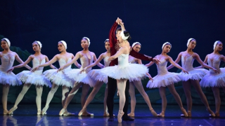 Nghệ thuật hàn lâm ngày càng thu hút khán giả