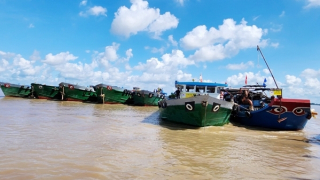 Khai thác cát sông Hậu phục vụ dự án cao tốc trọng điểm