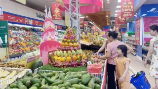 Cách nào gia tăng hiện diện thương hiệu Việt trên thị trường thế giới?