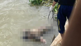 Phát hiện thi thể đang phân hủy trôi trên sông Hậu