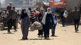 Tiếp tục nỗ lực không ngừng nghỉ để tìm kiếm hòa bình cho Dải Gaza