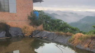 Đi làm về, cha mẹ đau đớn vớt thi thể hai con ở hồ tưới nước gần nhà