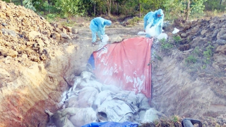 Tỷ lệ tiêm phòng vaccine thấp, có hiện tượng lơ là phòng, chống dịch