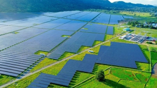 Mở lối cho 154 dự án điện mặt trời để không thể kéo dài sự lãng phí
