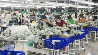 Doanh nghiệp trốn và chậm đóng bảo hiểm, người lao động khốn đốn