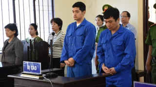 Tài xế và sếp nhà xe Thành Bưởi bị phạt 14 năm tù