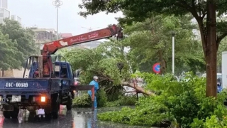 Quảng Ninh tập trung khắc phục hậu quả bão số 2