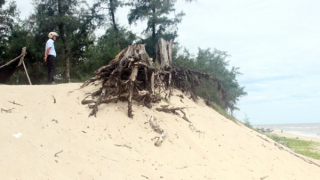 Người dân bất an khi bờ biển liên tục bị xâm thực, sạt lở nghiêm trọng