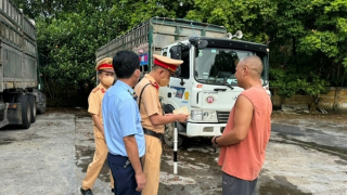 Phát hiện ô tô vận chuyển hơn 7 tấn lợn bị dịch tả Châu Phi