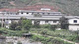 Vi phạm về môi trường, trang trại của người nhà Giám đốc BQL dự án đầu tư xây dựng bị "tuýt còi"