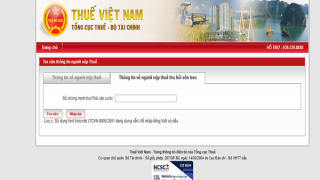 Tổng cục Thuế bị giả mạo website