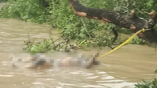 Truy tìm tung tích thi thể trôi trên sông Hậu