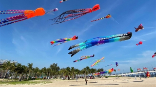 Lễ hội diều quốc tế - Quảng Nam 2024 hấp dẫn du khách đến Hội An