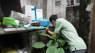 Gần 42 nghìn người mắc sốt xuất huyết, 5 ca tử vong, dịch đang gia tăng