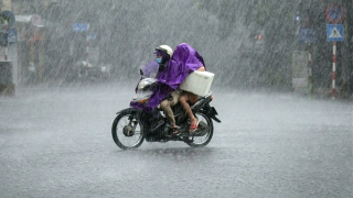 Mưa to và dông ở nhiều tỉnh thành phía Bắc, thời tiết mát mẻ