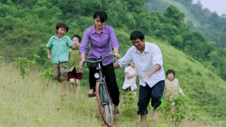 Lý luận, phê bình điện ảnh: Anh ở đâu?