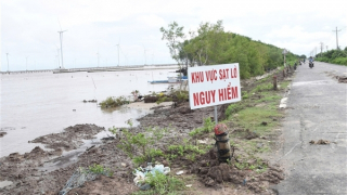 Bạc Liêu khẩn cấp chống sạt lở đê biển Đông