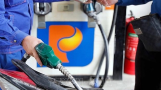 VPI dự báo giá xăng tiếp tục giảm mạnh trong kỳ điều hành tới