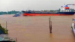 Vụ va chạm trên sông Vàm Nao: Phà chở ô tô sai quy định và không có máy trưởng