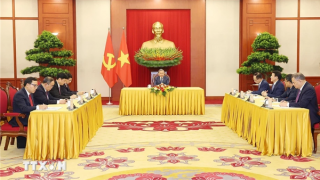 Tổng Bí thư, Chủ tịch nước Tô Lâm và Tổng thống Vladimir Putin thống nhất một số định hướng hợp tác lớn