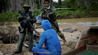 Các băng nhóm “quặng tặc” ở Amazon