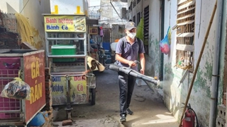 Nữ giáo viên tử vong vì bệnh sốt xuất huyết, Hải Phòng chỉ đạo quyết liệt dập dịch