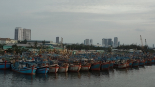 Miền Trung tăng cường quản lý tàu cá, chống khai thác IUU