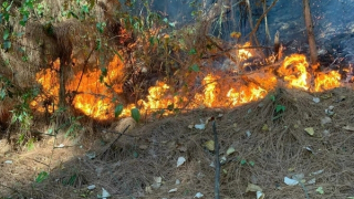 Huy động gần 500 người xuyên đêm dập lửa cứu rừng