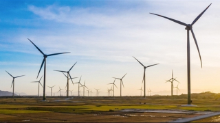 Cơ quan ANĐT yêu cầu EVN cung cấp hồ sơ 32 dự án điện để phục vụ điều tra