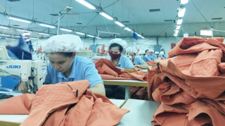 Doanh nghiệp cần chủ động nắm bắt thông tin