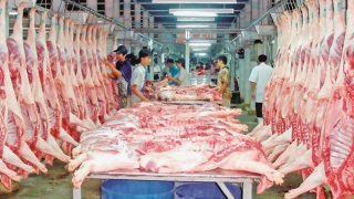 Chủ động không để thiếu hụt nguồn cung thịt lợn trong dịp Tết