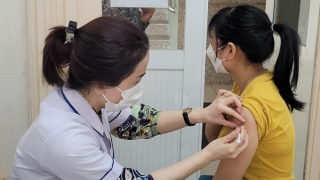 Nhiều người bị chó dại tấn công lúc đi tập thể dục buổi sáng