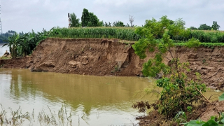 Phú Thọ: Xuất hiện nhiều điểm sạt lở bờ sông sát nhà dân