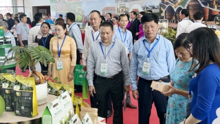 Nỗ lực cải thiện Chỉ số năng lực cạnh tranh cấp tỉnh ở khu vực đồng bằng sông Cửu Long