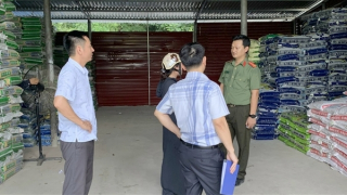 Nông dân thiệt đơn, thiệt kép vì phân bón giả, kém chất lượng