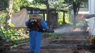 Đắk Lắk ghi nhận trường hợp tử vong bị sốt xuất huyết