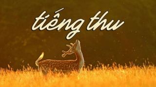 Tiếng thu
