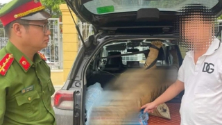 Khởi tố đối tượng rao bán cá thể hổ hoàn chỉnh trên mạng xã hội