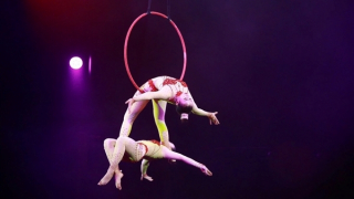 Vì sao nghệ thuật Xiếc vẫn gặp nhiều khó khăn?