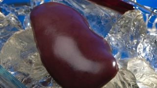 Mặt tối của du lịch ghép tạng