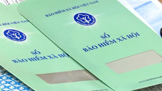 Đà Nẵng phạt nặng loạt doanh nghiệp chậm đóng BHXH cho người lao động