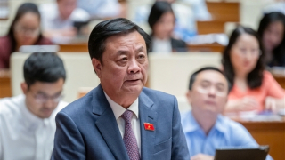 Bộ trưởng Lê Minh Hoan nêu giải pháp khi xót xa nhìn bà con "đốn điều trồng sầu riêng"