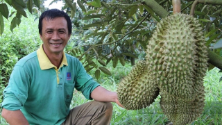 NPK Phú Mỹ: Kết nối thành công, phát triển bền vững cùng thủ phủ sầu riêng