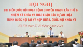 Mua bán bào thai dù nhằm mục đích gì đều cần thiết phải nghiêm cấm