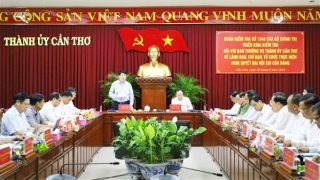 Công bố quyết định kiểm tra Ban Thường vụ Thành ủy Cần Thơ