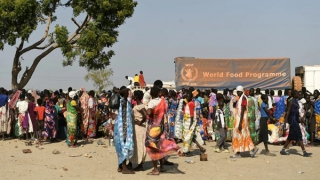 Những người tị nạn bị lãng quên