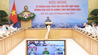 Xử lý nghiêm trách nhiệm người đứng đầu trong chống khai thác IUU