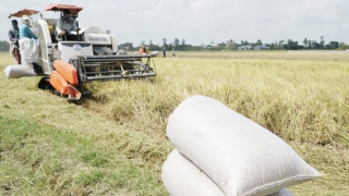Giảm phát thải là xu thế "không thể quay lưng"