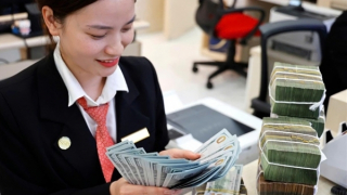 Thở phào vì tỷ giá "hạ nhiệt"