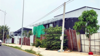 TP Cần Thơ: Nhiều công trình trái phép “mọc” trên đất lúa ven tuyến Quốc lộ 91B